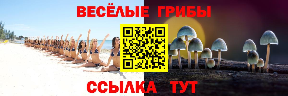 Псилоцибиновые грибы Psilocybine cubensis  где найти наркотики  Вход с VPN  Грязи  Псилоцибиновые грибы Psilocybine cubensis 